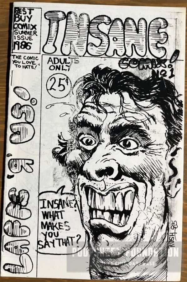 Insane Comix #1