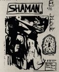Shaman #45